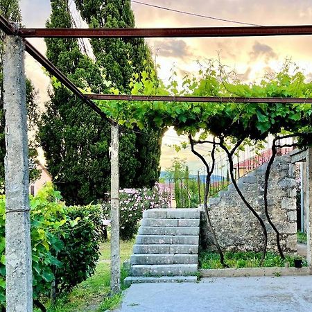 Apartman Boljevic ポドゴリツァ エクステリア 写真