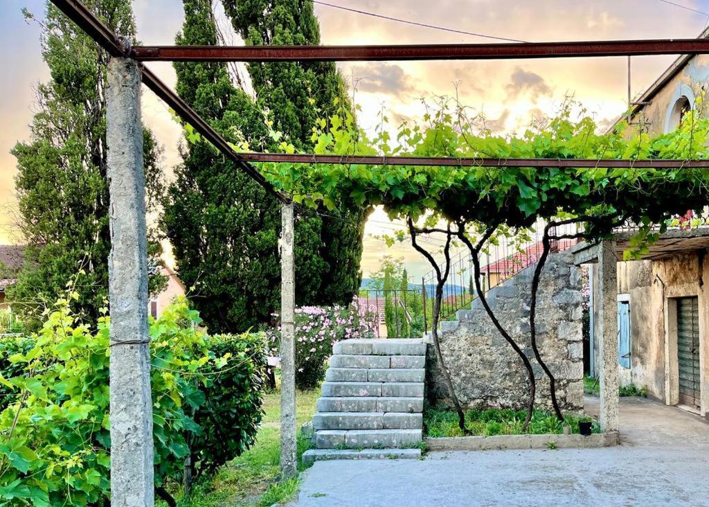 Apartman Boljevic ポドゴリツァ エクステリア 写真